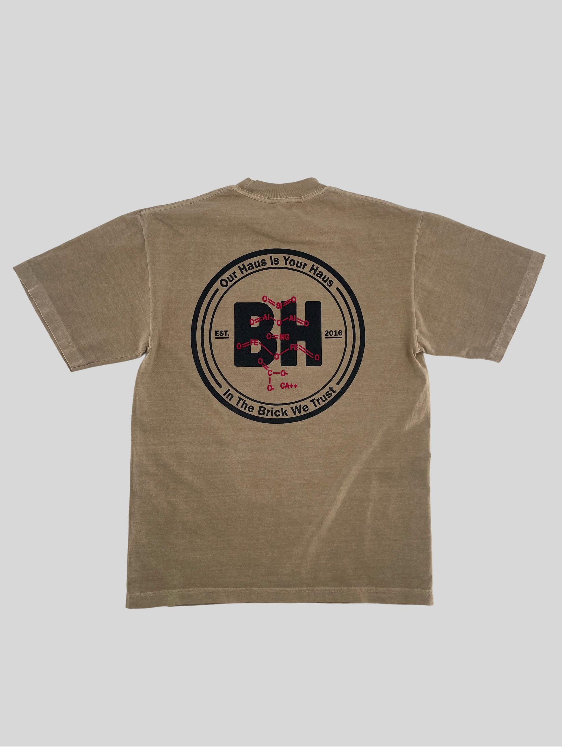 Imaginary Foundation T Shirt | Men's Foundation | BrickHaus