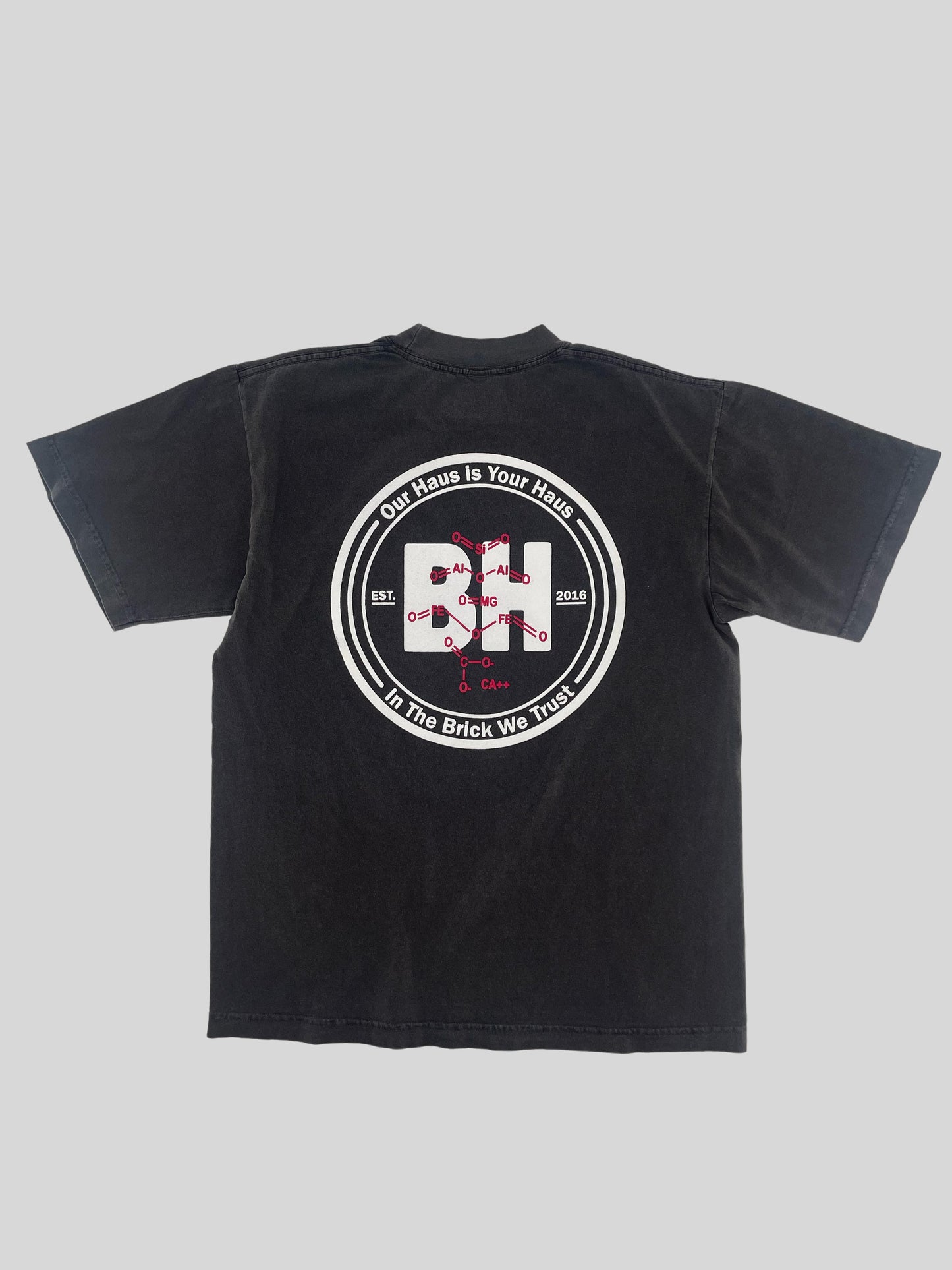 Imaginary Foundation T Shirt | Men's Foundation | BrickHaus